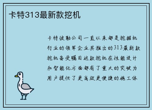 卡特313最新款挖机